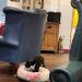 Kitty Café in Nottingham city