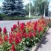 Гастроном «Филин» в городе Славянск