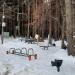 Спортивная площадка в городе Москва