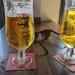 The Hop Merchant in Nottingham city