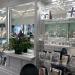 Levins Fine Jewellery in Nottingham city