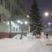 Ель в городе Череповец