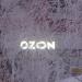 OZON в городе Череповец
