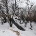 Лестница в городе Москва