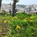 Jardim do Torel na Lisboa city