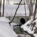 Выход коллектора реки Жужи в городе Москва