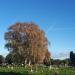 Redhill Cemetery