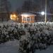 Зеленый лабиринт в городе Череповец