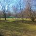 Miejsce na grilla (pl) in Sopot city