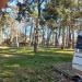 Sektor campingowy (pl) in Sopot city