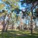 Sektor campingowy (pl) in Sopot city