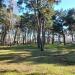 Sektor campingowy (pl) in Sopot city