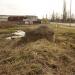 Stanowisko przeciwlotnicze (pl) в городе Черняховск