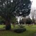 Rose Hill Cemetery in Oxford city