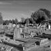 Rose Hill Cemetery in Oxford city