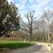 Park Grodowy in Sopot city
