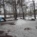 Площадка для дрессировки собак в городе Кубинка