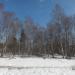 Парк в городе Кубинка
