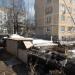 Кошачий приют в городе Кубинка