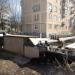Кошачий приют в городе Кубинка