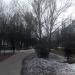 Бульвар в городе Москва