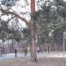 Зона отдыха «Шибаевский пруд» в городе Москва