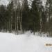 Мостик в городе Череповец