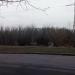 Кленовый сквер в городе Москва