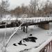 Старый мост через р. Рожайку в городе Домодедово