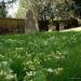 St Luke's Churchyard in Maidenhead city