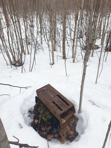 "Звезда Мерседес" - "Сердце"