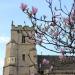 St. Botolph's Church in Cambridge city