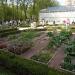 Сад лекарственных трав в городе Москва