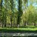 Сквер в городе Москва