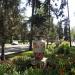 Вазоны из шамота в городе Москва