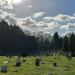 Harrow Weald Cemetery