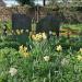 St Leodegarius Churchyard in Nottingham city