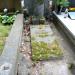 The grave of Emilja Marja Windelbaum in Warsaw city