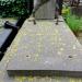 The grave of Hofman family in Warsaw city