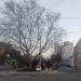 Zehmeplatz (de) в городе Франкфурт-на-Одере