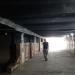 Подземный пешеходный переход в городе Сухум