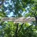 Johannes Giesberts Park (de) in Cologne city