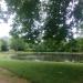 Teich in Stadt Bonn