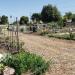 Cesar E. Chavez Community Garden in Milpitas, California city