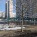 Волейбольная площадка в городе Москва