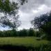 Weide (de) in Cologne city