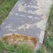 Fallen tombstone of Laz? Bloo? (en) в городе Броды