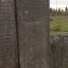 Надгробок Цві Гірша (uk) в городе Броды