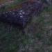 Grave (en) в городе Броды