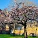 St Nicholas' Churchyard in Nottingham city